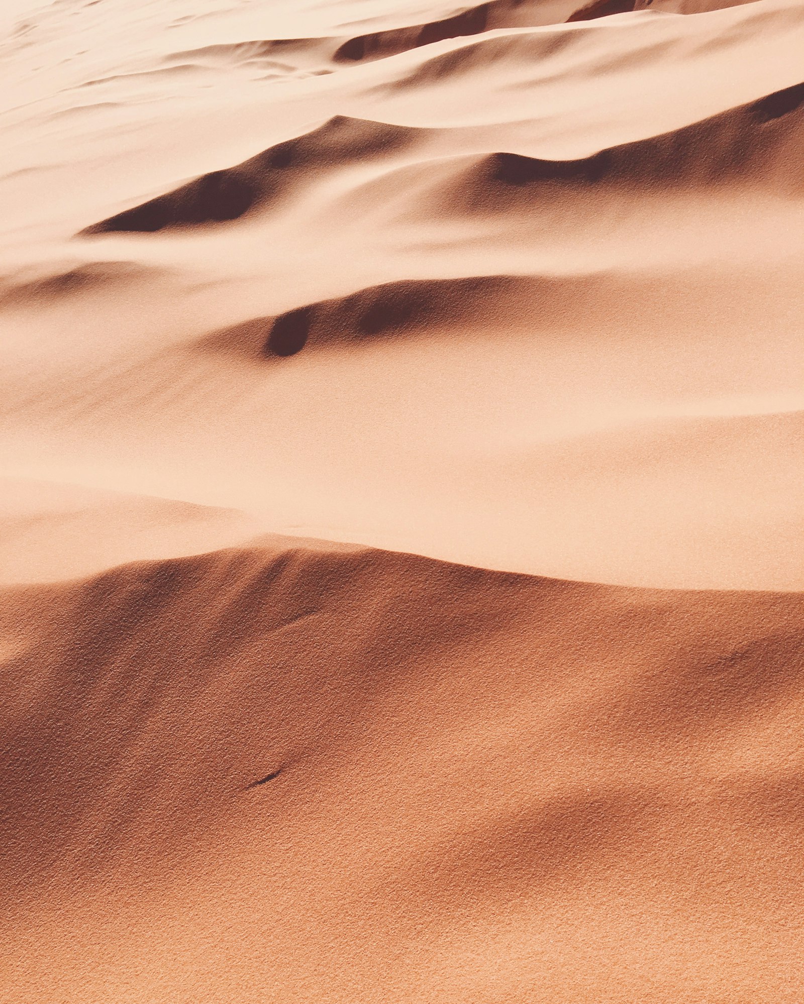 Western Desert
