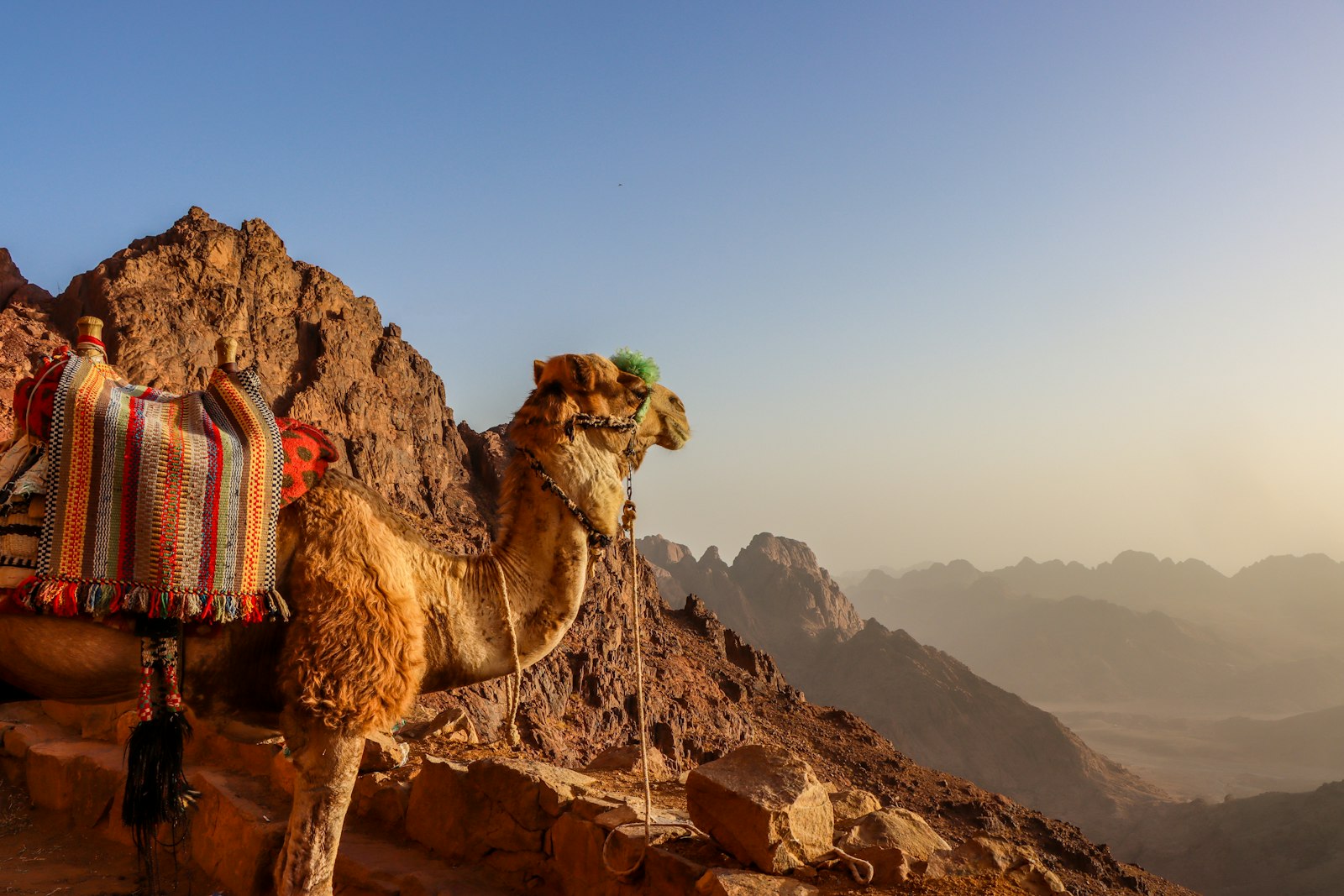Mount Sinai · South Sinai